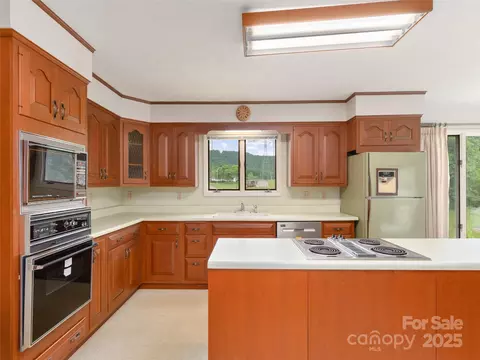 202 Terrell Rd, Clyde, NC 28721 photo 12