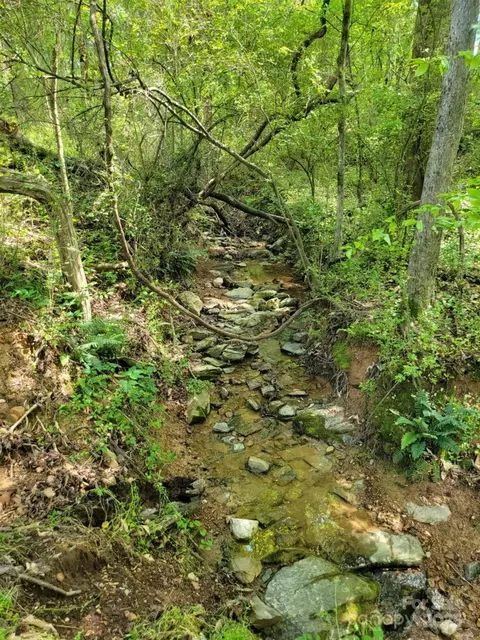 00 Millingport 2 Rd #2, Albemarle, NC 28001 photo 5