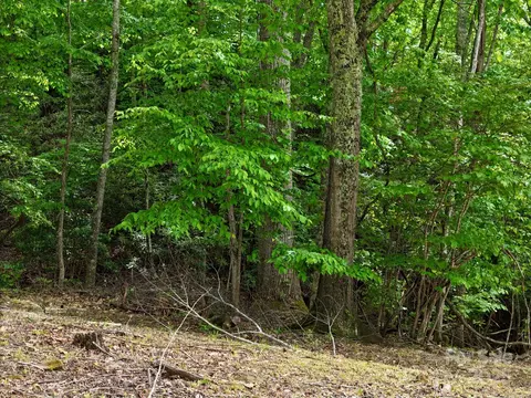 280 Split Pine Cv, Clyde, NC 28721 photo 5