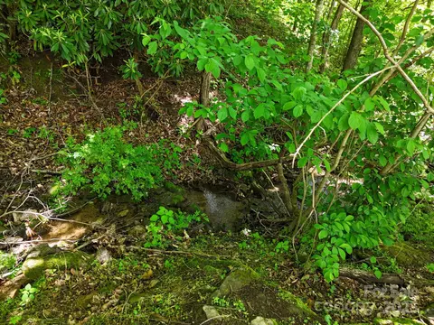 280 Split Pine Cv, Clyde, NC 28721 photo 4