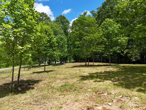 280 Split Pine Cv, Clyde, NC 28721 photo 3
