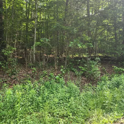 00 Poplar Creek Rd, Green Mountain, NC 28740