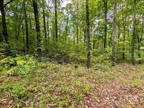 00 Staghorn Dr, Waynesville, NC 28785