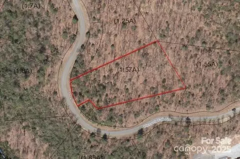 0 Pinnacle Falls 22 Ln #22, Zirconia, NC 28790