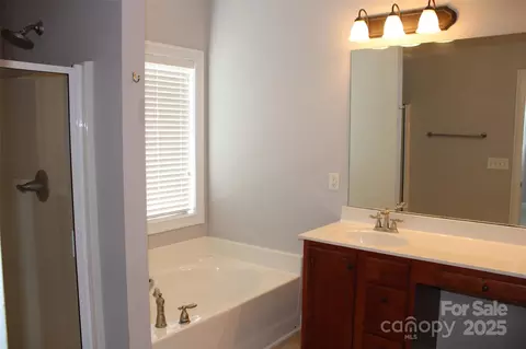 Bath - 19834 Davidson Concord Rd, Davidson, NC 28036 photo 1 of 2