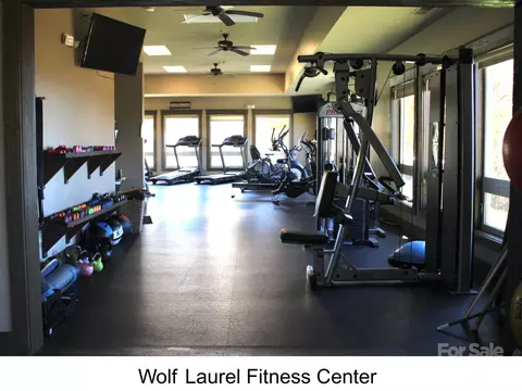 2255 Wolf Laurel Rd, Mars Hill, NC 28754 photo 44