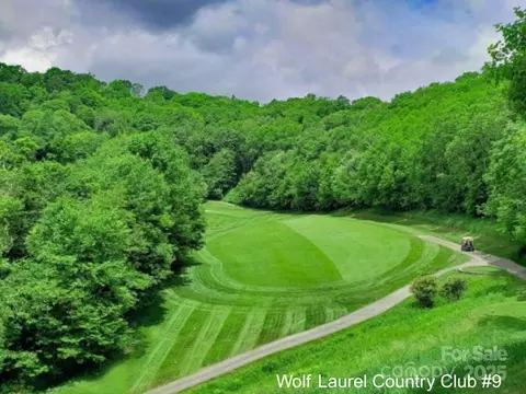 2255 Wolf Laurel Rd, Mars Hill, NC 28754 photo 41