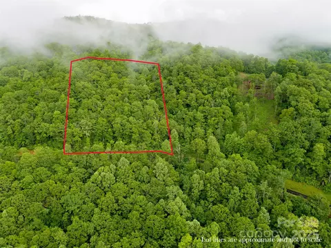 Rainbow Trout Drive, Spruce Pine, NC 28777