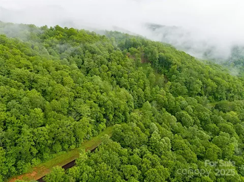 Rainbow Trout Drive, Spruce Pine, NC 28777 photo 2