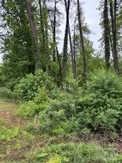 0000 Heathwood 32 Ln #32, Franklin, NC 28734