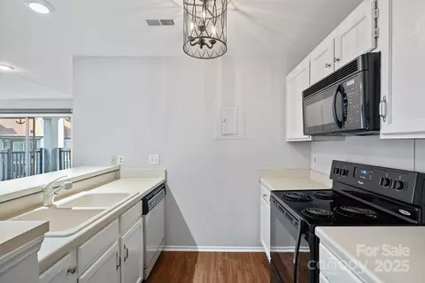 Other - 18853 Vineyard Point Ln, Cornelius, NC 28031 photo 4 of 10