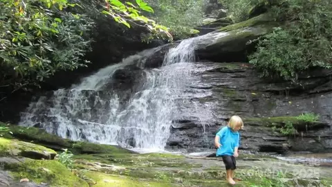 282 H And H Trl, Black Mountain, NC 28711