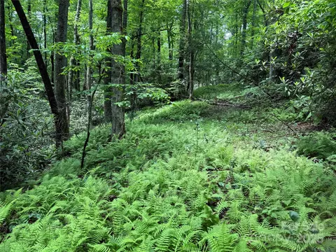 Caroline 7r Lane #7R, Pisgah Forest, NC 28768