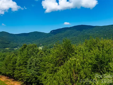 Other - 40 Deep Gap Farm E Rd E, Mill Spring, NC 28756 photo 8 of 12