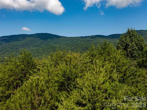 Other - 40 Deep Gap Farm E Rd E, Mill Spring, NC 28756 photo 7 of 12