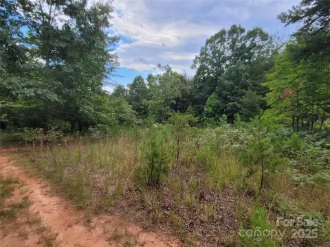 0 Big Level Rd, Mill Spring, NC 28756 photo 20