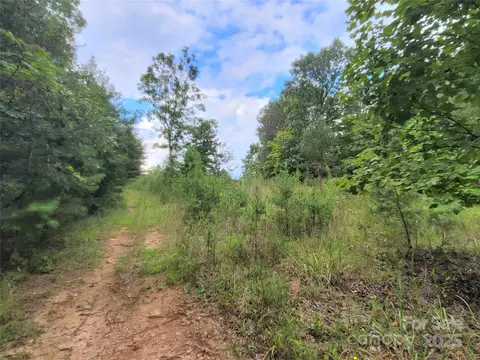 0 Big Level Rd, Mill Spring, NC 28756 photo 22