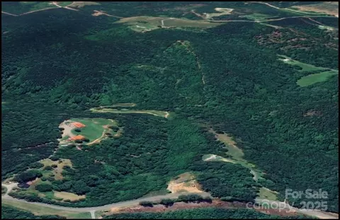 0 Big Level Rd, Mill Spring, NC 28756 photo 5