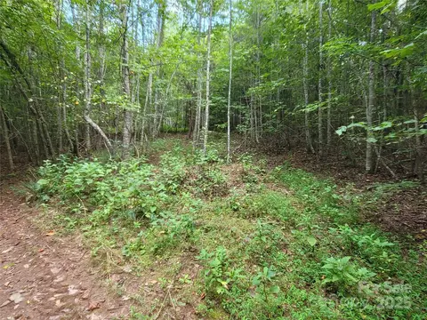 0 Big Level Rd, Mill Spring, NC 28756 photo 13