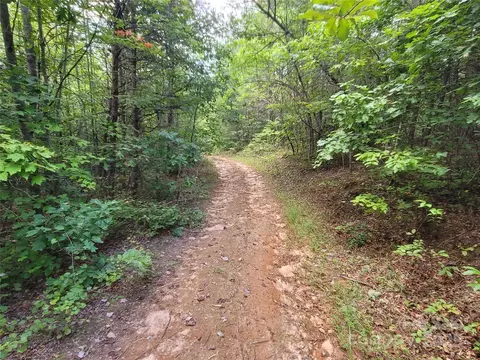 0 Big Level Rd, Mill Spring, NC 28756 photo 14