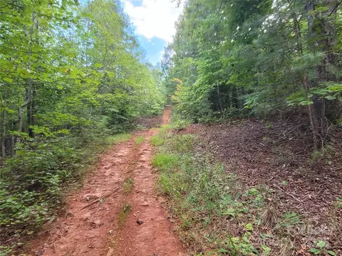 0 Big Level Rd, Mill Spring, NC 28756 photo 10