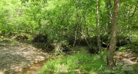 0 Big Level Rd, Mill Spring, NC 28756 photo 3