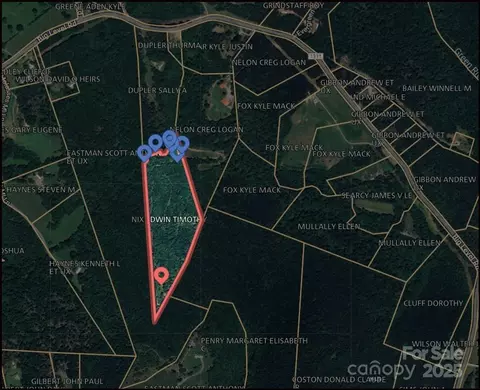 0 Big Level Rd, Mill Spring, NC 28756 photo 6