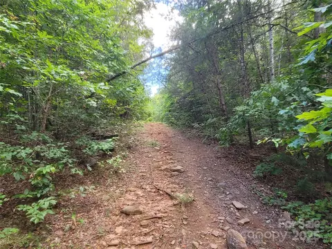 0 Big Level Rd, Mill Spring, NC 28756 photo 9