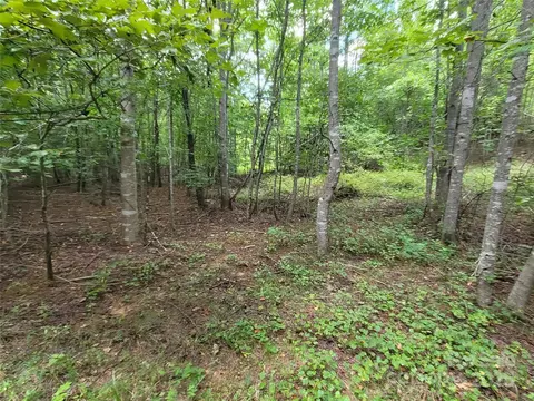 0 Big Level Rd, Mill Spring, NC 28756 photo 21