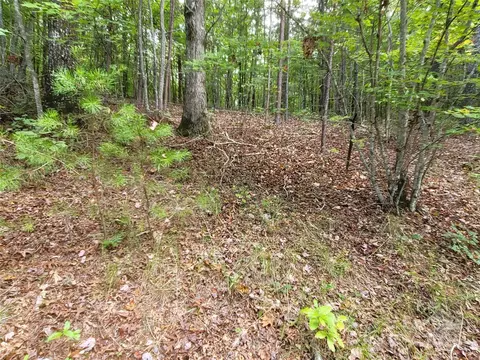0 Big Level Rd, Mill Spring, NC 28756 photo 12