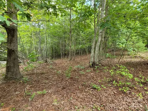 0 Big Level Rd, Mill Spring, NC 28756 photo 11