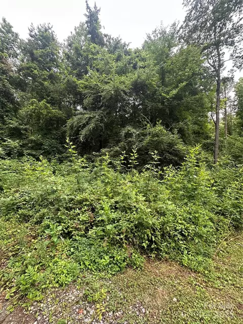 0 Stonegate Rd, Monroe, NC 28110 photo 5