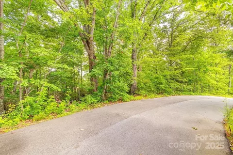 99999 Pheasant Ridge 14 Rd #14, Fairview, NC 28730