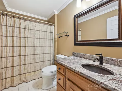 12029 Forest Home Dr, Fort Mill, SC 29708 photo 24