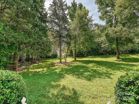 12029 Forest Home Dr, Fort Mill, SC 29708 photo 36