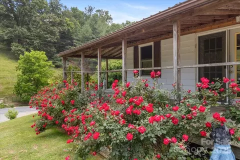 Exterior - 461 Tweed Rd, Marshall, NC 28753 photo 6 of 6