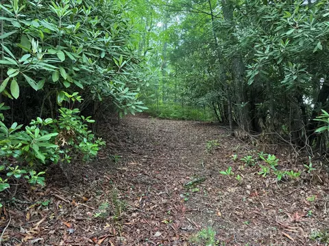 Blueberry 14 Trail #14, Lake Toxaway, NC 28747