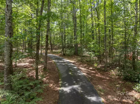 423 Indian Forest Dr, Bostic, NC 28018 photo 42