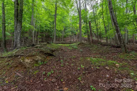 25 Hickory Springs 25 Rd #25, Burnsville, NC 28714