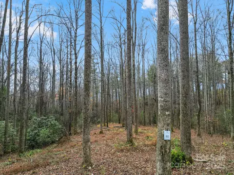 80 Mountain Grove Lane #LOT 80, Fletcher, NC 28732