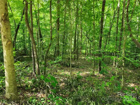 0000 Hayes 67 Rd #67, Columbus, NC 28722