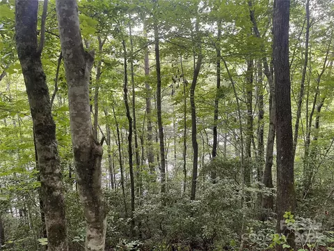 2642 Canada Rd, Tuckasegee, NC 28783