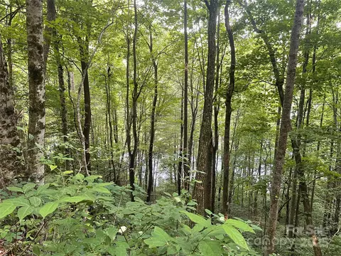 200 Sweet Birch Ln, Tuckasegee, NC 28783