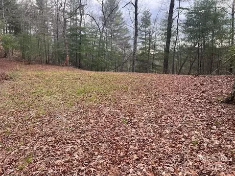 2035 Lower Tuskeegee Rd, Robbinsville, NC 28771