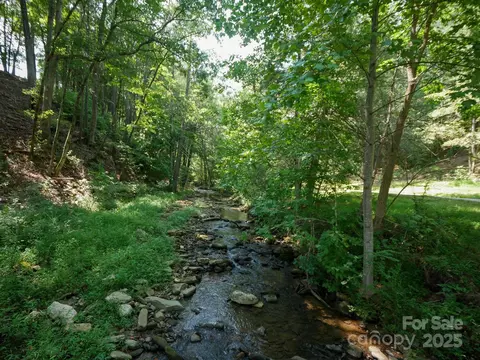 00 Deep Gap E 59 Rd E #59, Mill Spring, NC 28756 photo 15