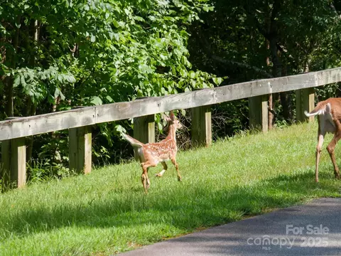 00 Deep Gap E 59 Rd E #59, Mill Spring, NC 28756 photo 25