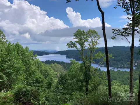 Panther Ridge Road, Lake Toxaway, NC 28747