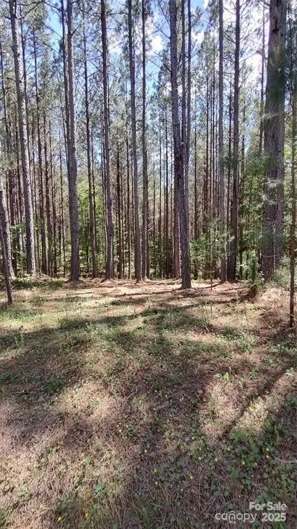 105 Cranberry 80 Ln #80, Mooresboro, NC 28114