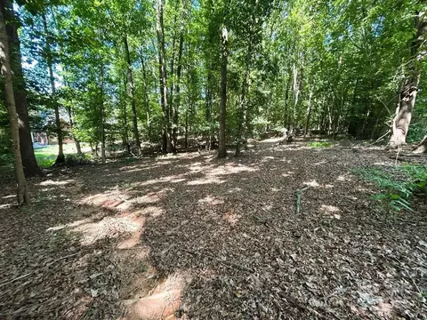 Exterior - 11646 Hidden Forest Ln, Davidson, NC 28036 photo 7 of 7