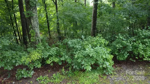 46 Hemlock Trail, Columbus, NC 28722